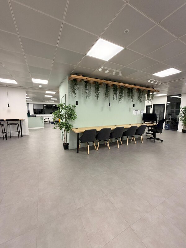 Open plan hot desk area with hanging plants